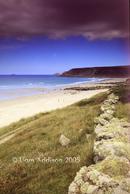 the old hedges, sennen cove